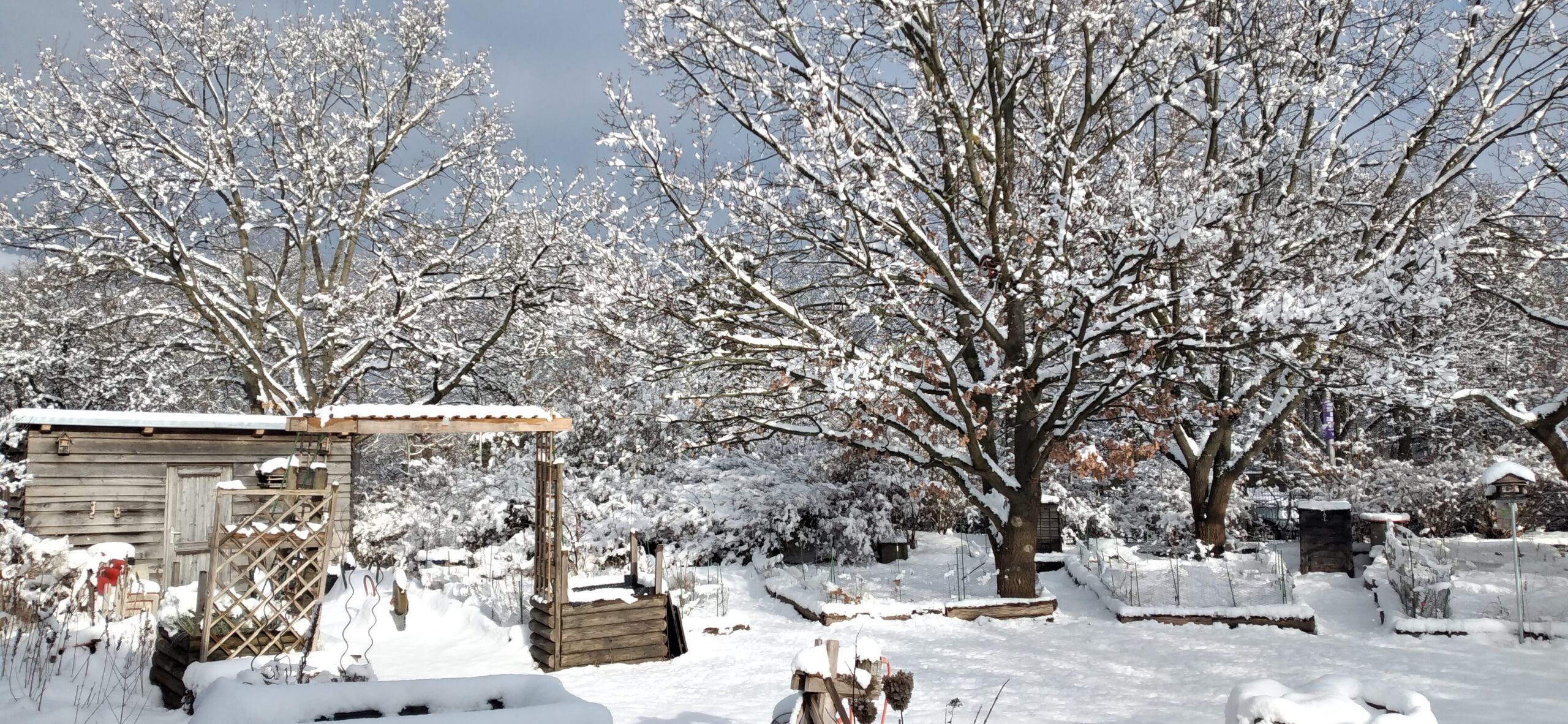 Unser Schulgarten im Winter 2025